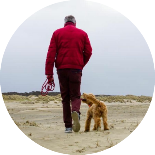 Gedrag- en trainingtips Labradoodle basistraining