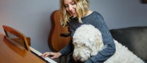 13-tips-voor-hondenspelletjes-en-je-hond-binnen-bezighouden-labradoodle-achter-piano-min