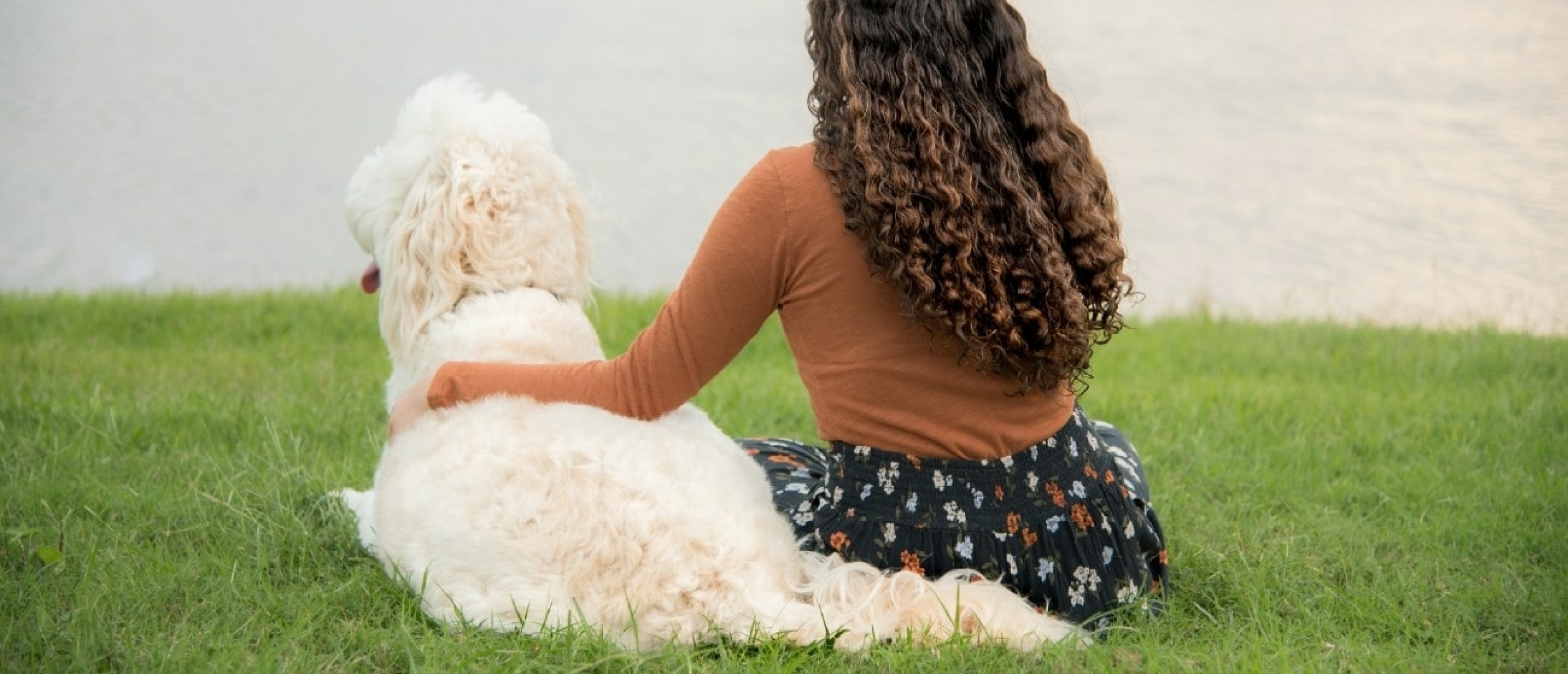 bronchitis-bij-een-hond_-symptomen-oorzaken-en-behandelingen-min