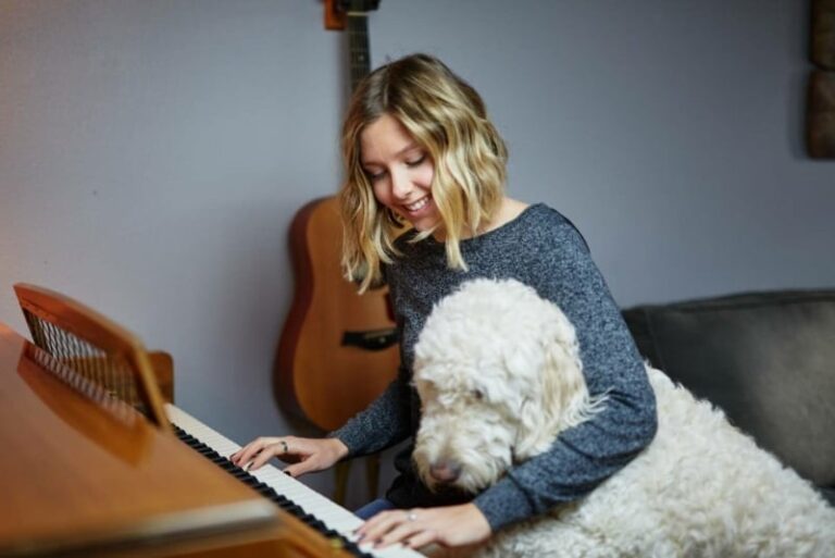 Labradoodle en mens op piano