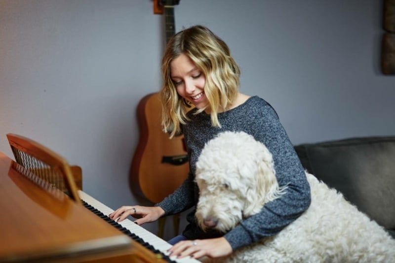 Labradoodle en mens op piano