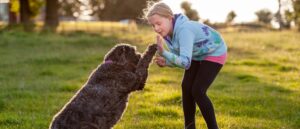 meisje-en-labradoodle-high-five-min