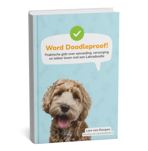 00 Word Doodleproof 3d E Book Cover 491x500