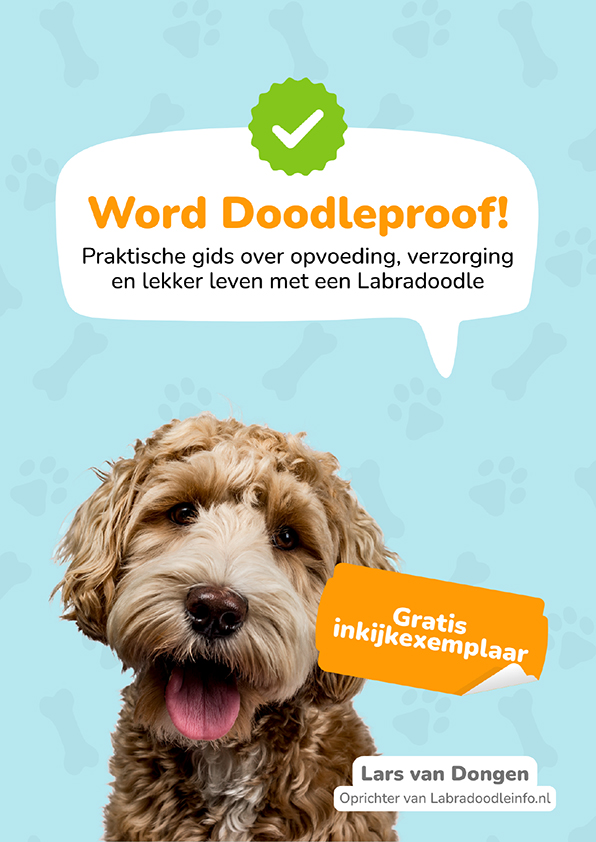 05 Gratis E Book Gratis Voorproefje Van Word Doodleproof